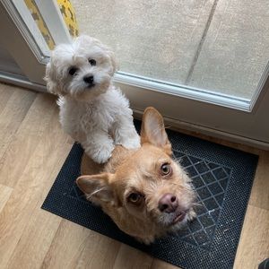 Meet your Posher, Tabatha